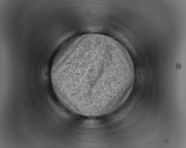 X0000102010212200808081732