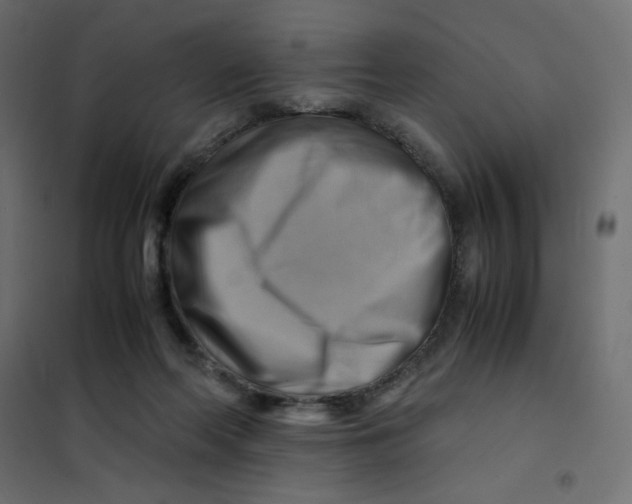 X0000102010214200808081732