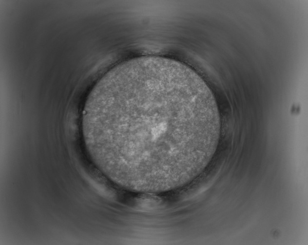 X0000102010215200808081732