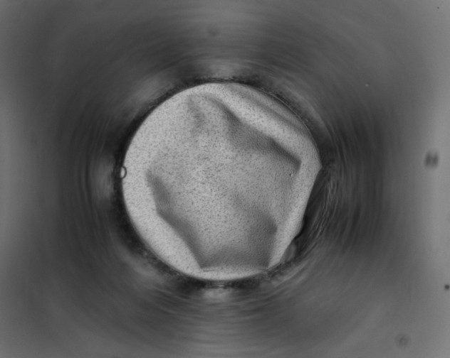 X0000102010216200808081732