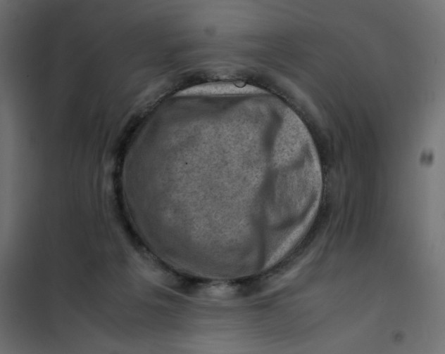 X0000102010217200808081732