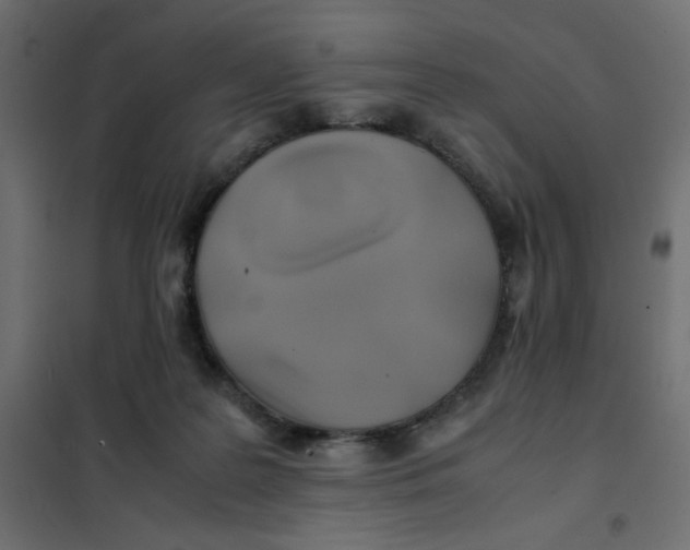 X0000102010219200808081732