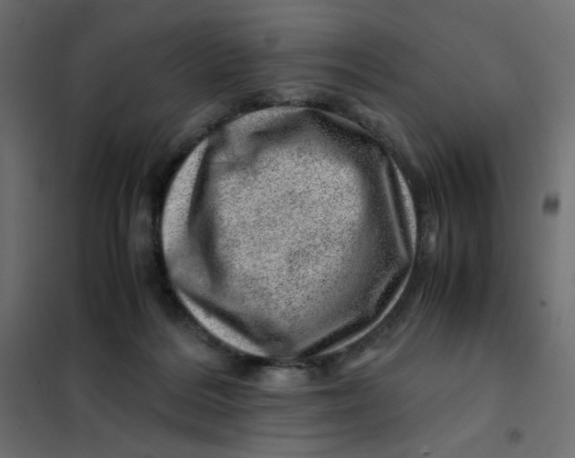 X0000102010220200808081732