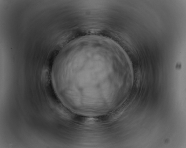 X0000102010222200808081732