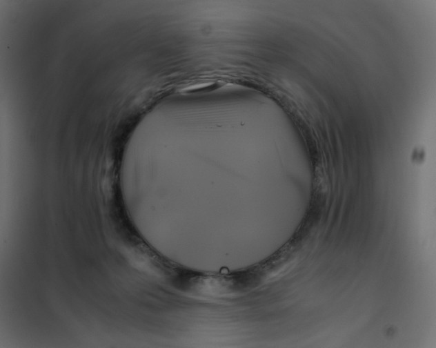 X0000102010223200808081732