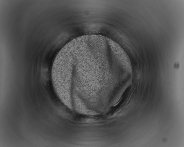 X0000102010224200808081732