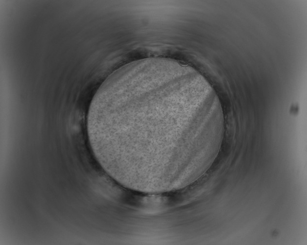 X0000102010225200808081732