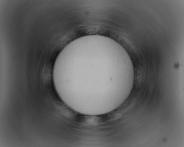 X0000102010226200808081732