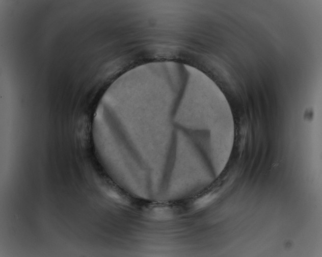 X0000102010228200808081732