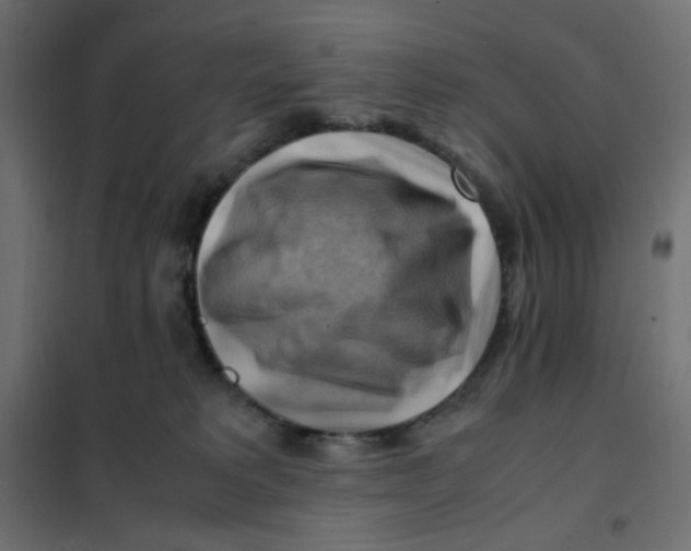 X0000102010229200808081732