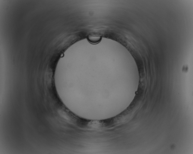 X0000102010231200808081732