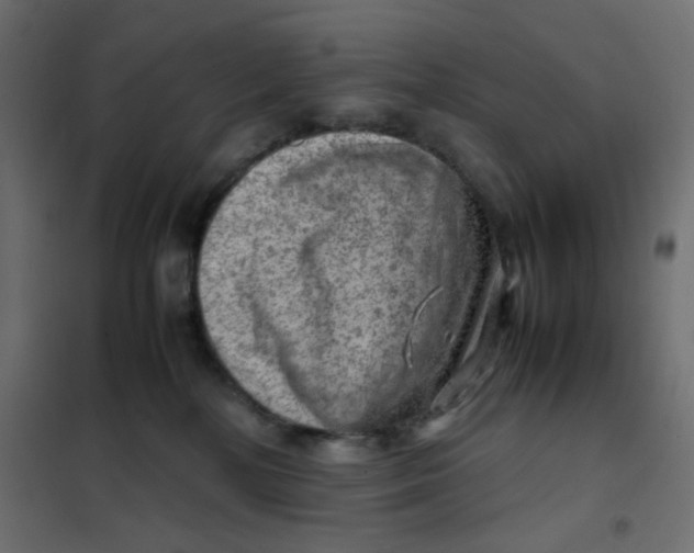 X0000102010232200808081732