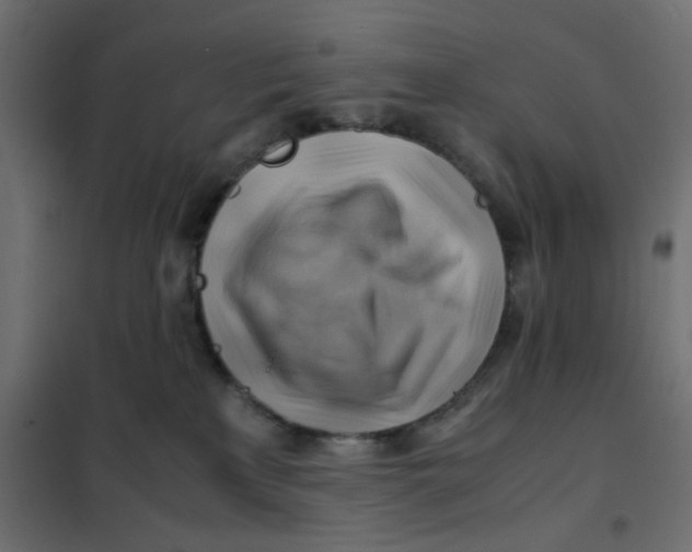 X0000102010233200808081732