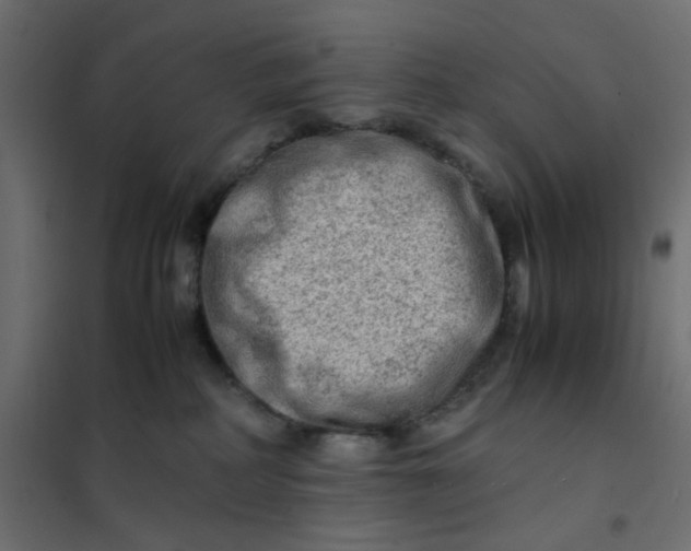 X0000102010234200808081732