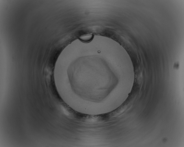 X0000102010235200808081732