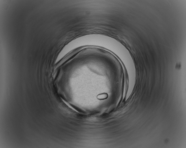 X0000102010237200808081732