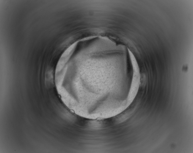 X0000102010238200808081732