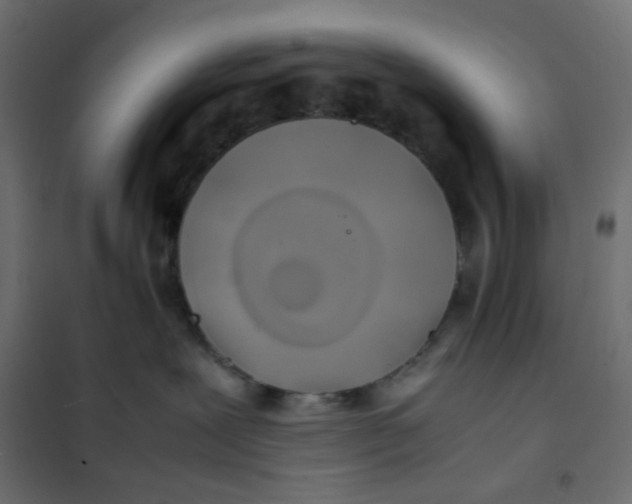 X0000102010239200808081732