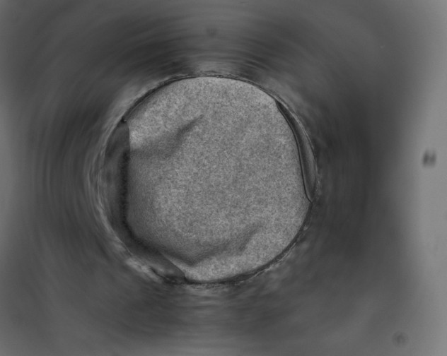 X0000102010241200808081731