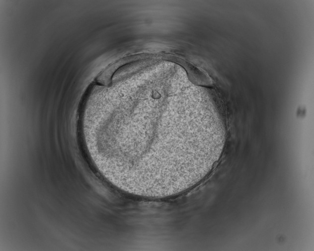 X0000102010242200808081731