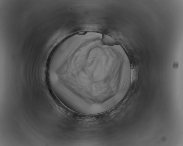 X0000102010243200808081731