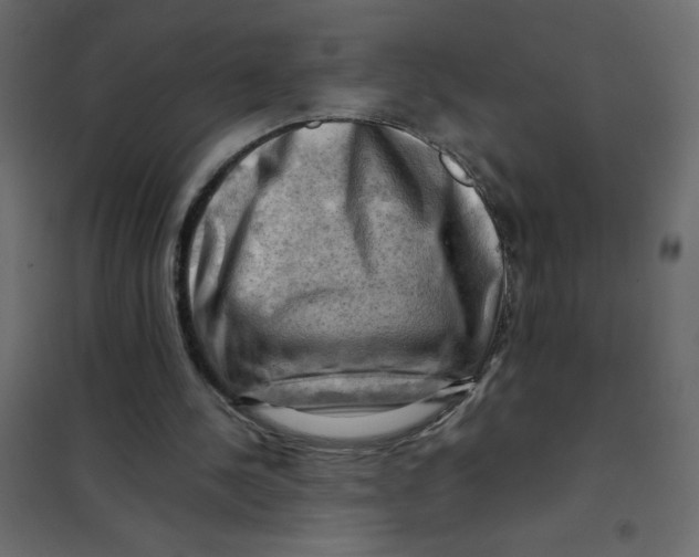 X0000102010244200808081731