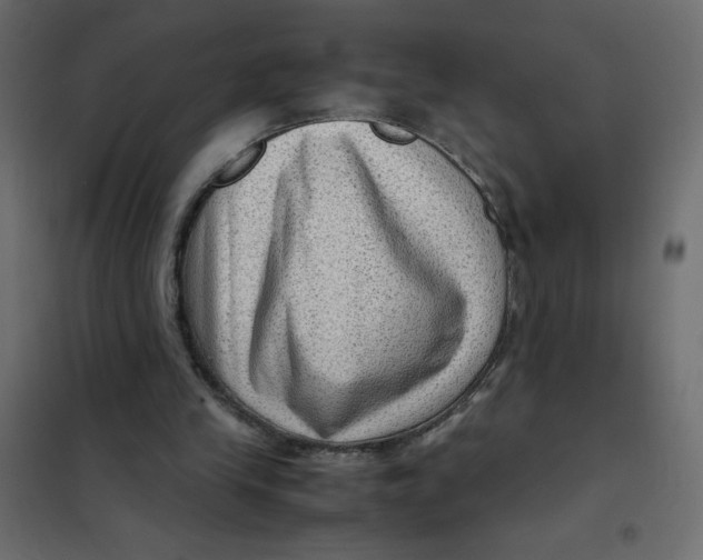 X0000102010245200808081731