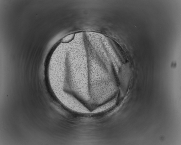 X0000102010246200808081731