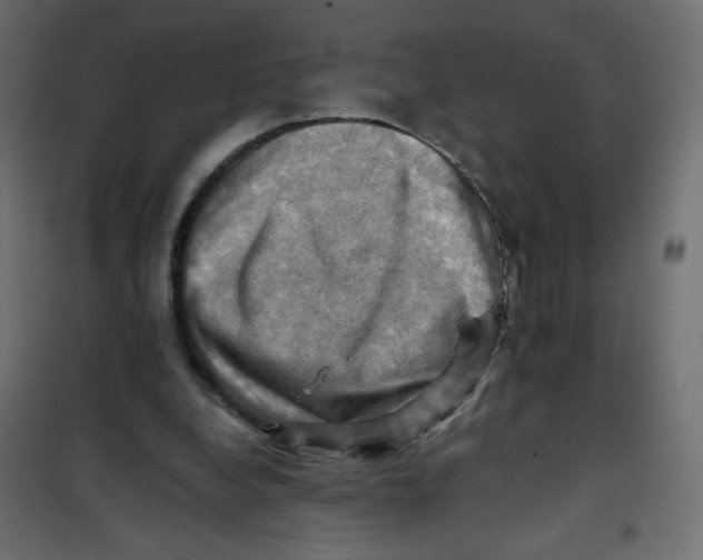 X0000102010248200808081731