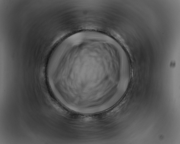 X0000102010249200808081731