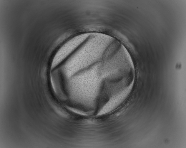 X0000102010250200808081731