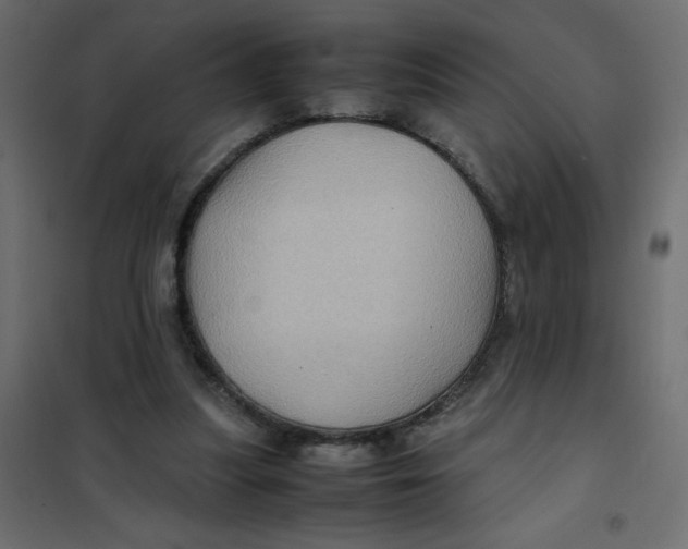 X0000102010251200808081731