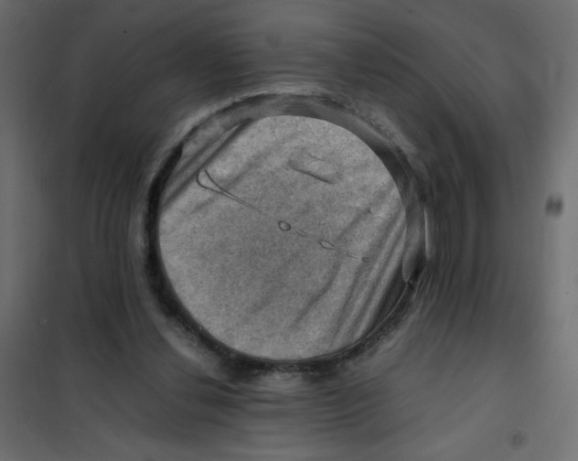 X0000102010252200808081731