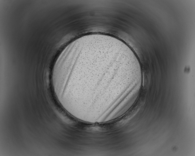 X0000102010253200808081731