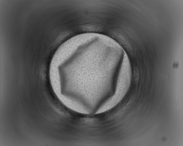 X0000102010255200808081731