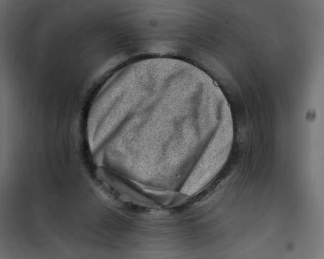 X0000102010256200808081731