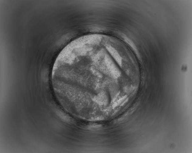 X0000102010257200808081731