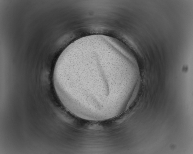 X0000102010258200808081731