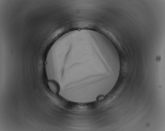 X0000102010260200808081731