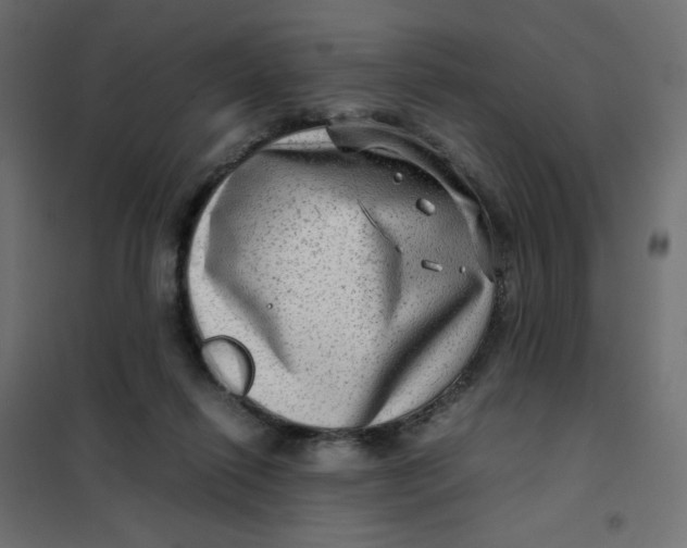 X0000102010262200808081731