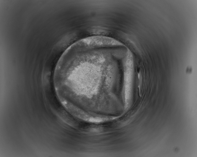 X0000102010263200808081731