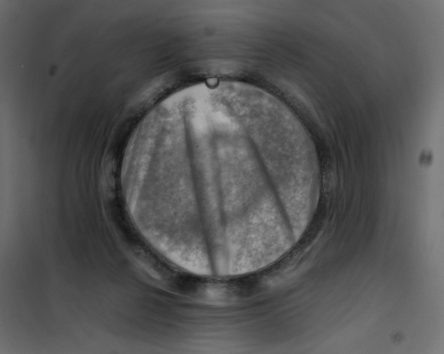 X0000102010264200808081731