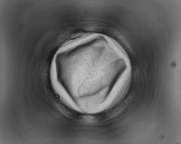 X0000102010265200808081731