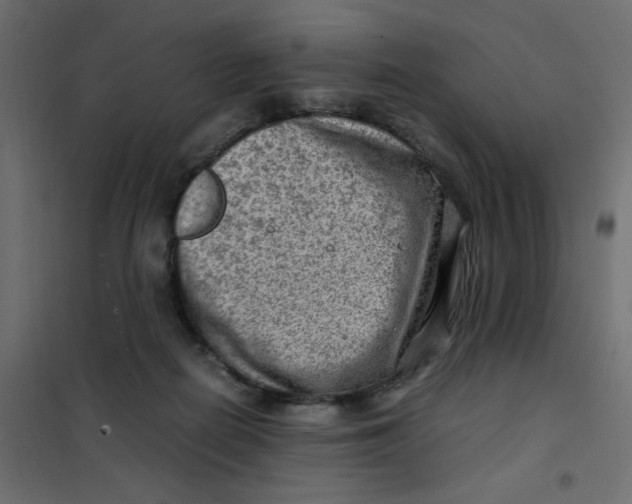 X0000102010266200808081731