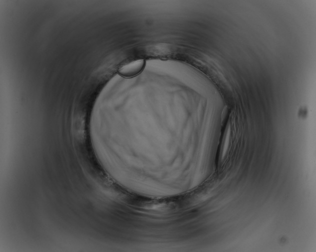 X0000102010267200808081731