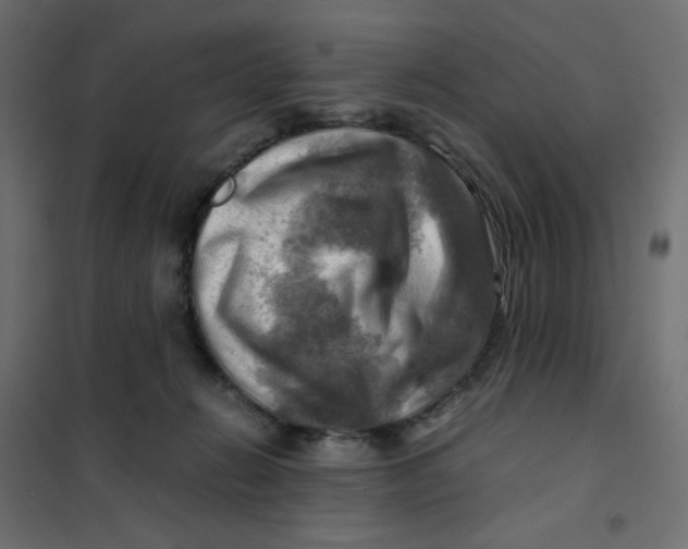 X0000102010270200808081731