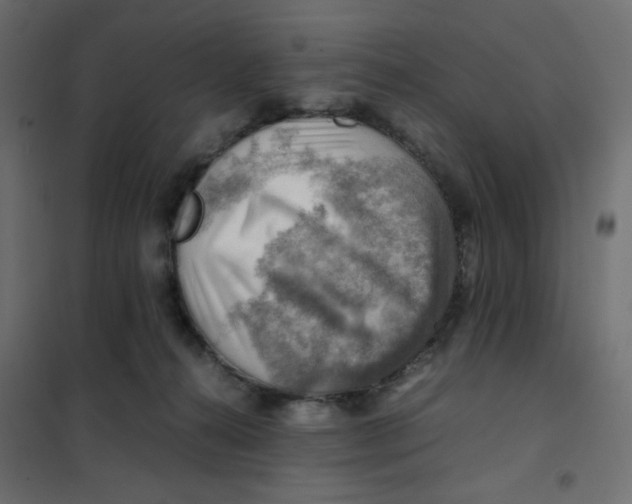 X0000102010272200808081731