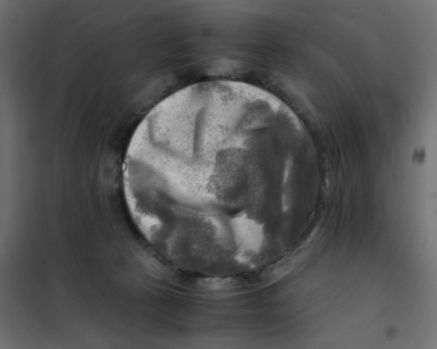 X0000102010273200808081731