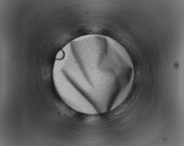 X0000102010274200808081731