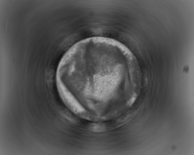 X0000102010275200808081731